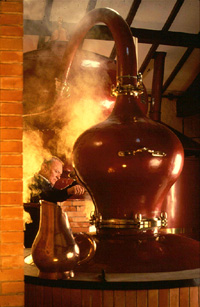 Distillerie de Cognac