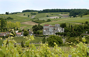 Vignoble de Bouteville Cognac Grande Champagne
