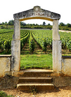 Bourgogne Montrachet